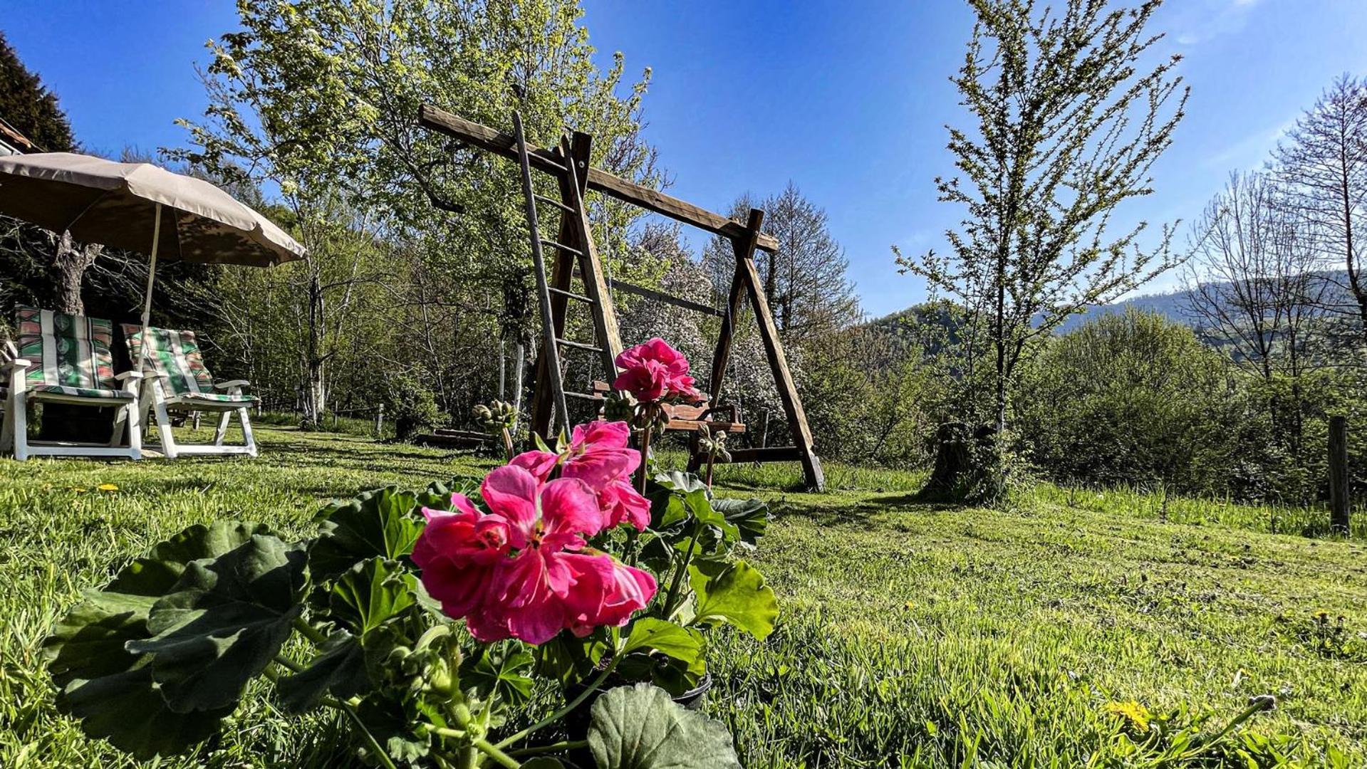 Kuca Za Odmor Forest Dream U Blizini Rijeke Kupe Plesce Exterior photo